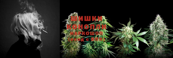 твердый Кодинск