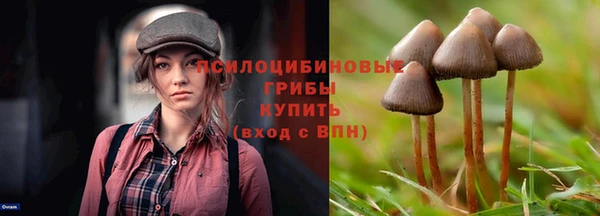 spice Киреевск