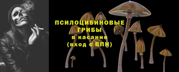 твердый Кодинск