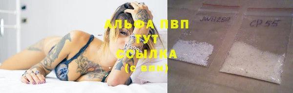 ПСИЛОЦИБИНОВЫЕ ГРИБЫ Коряжма