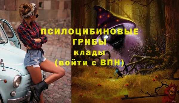 spice Киреевск