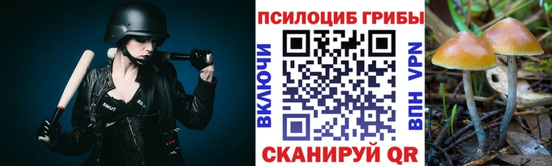 Галлюциногенные грибы ЛСД Алексин