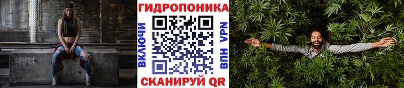 Бошки Шишки LSD WEED  Купить закладки  Алексин 